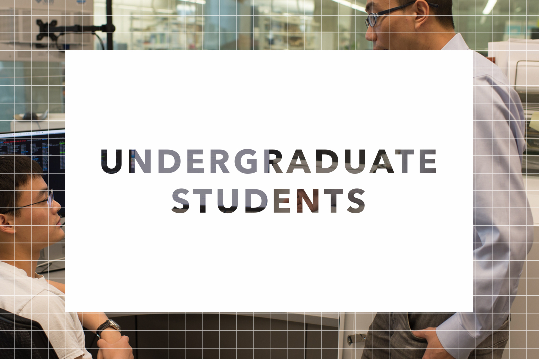 Undergraduate Students button