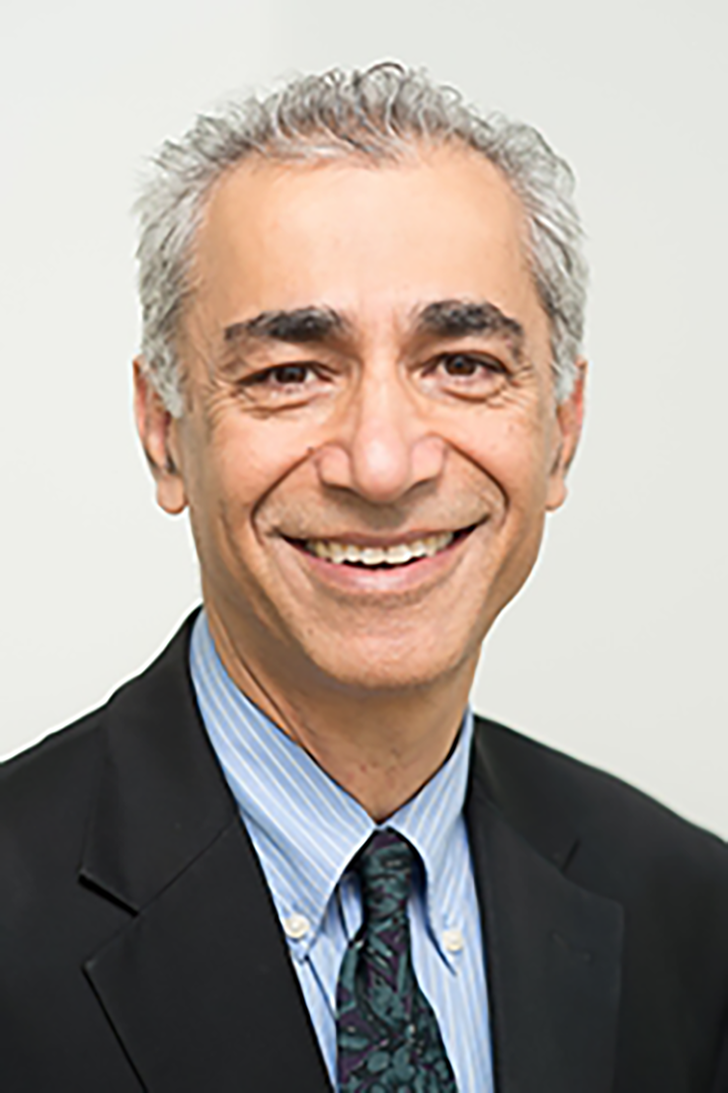 professor ahmadi